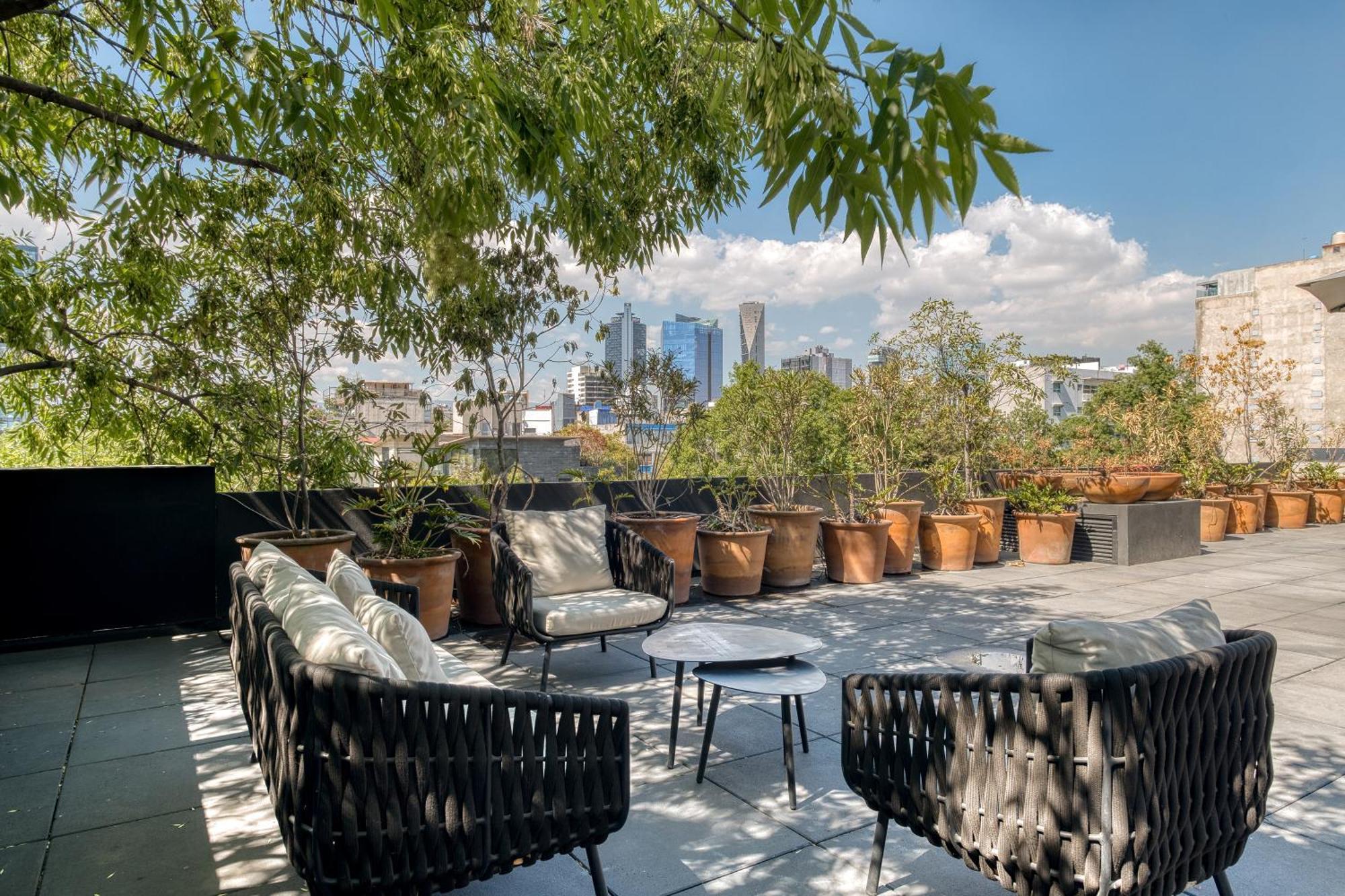 Boga Mexico City By Lumina Dış mekan fotoğraf