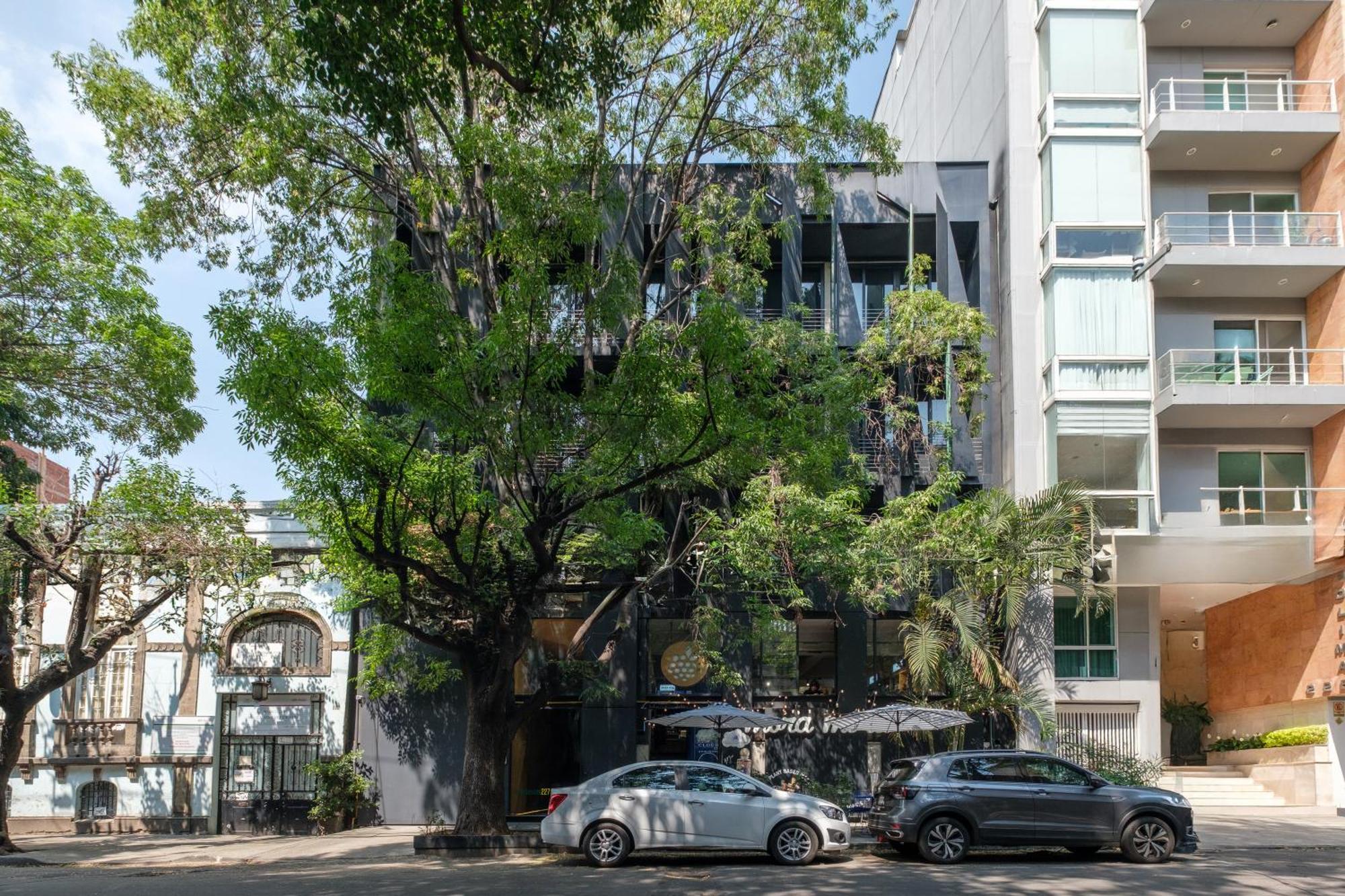 Boga Mexico City By Lumina Dış mekan fotoğraf